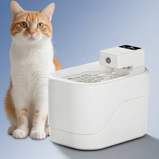 Intelligent Sensor Pet Drinking Fountain