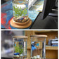 Small Office Glass Aquarium