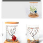 Small Office Glass Aquarium
