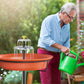 Solar Bird Bath Fountain