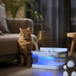 Pet Water Dispenser