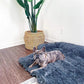 Comfortable Dog Bed