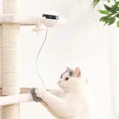 Pet Cat Toy Electronic Motion